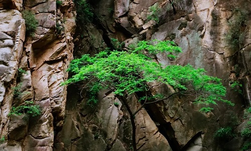 Misty-Cliffs-Heilongtan